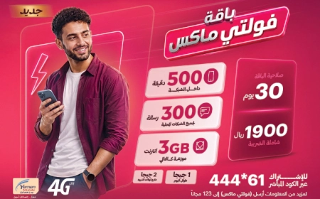 فولتي ماكس